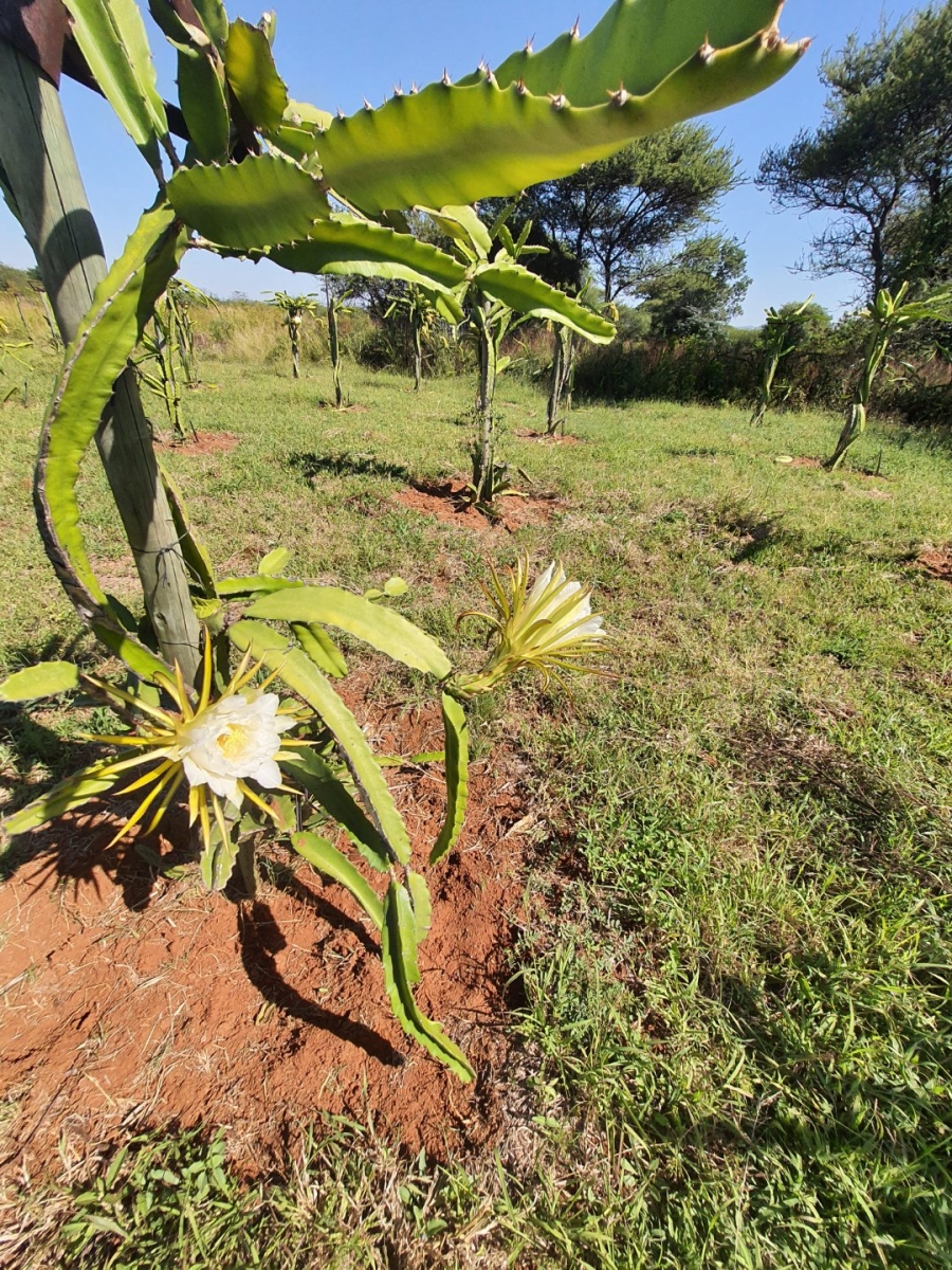  Bedroom Property for Sale in Hartbeespoort Rural North West